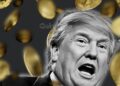 Trump Crypto Empire Earns $2.3 Billion While Investors Face Heavy Losses