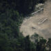 Tropical forest protection fund at risk after UK stalls on pledge