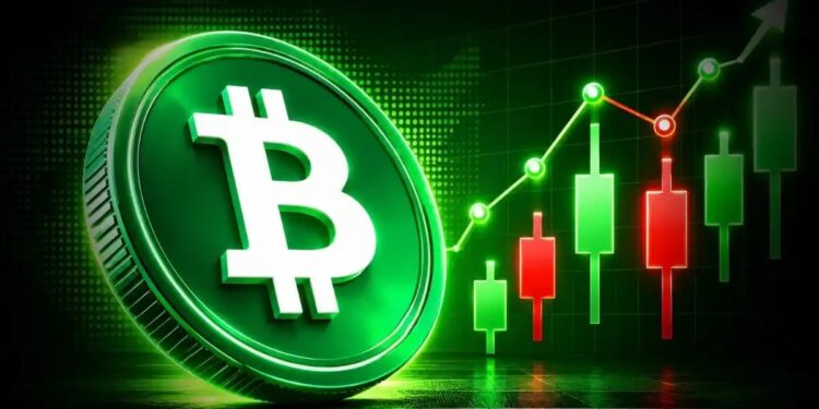 Bitcoin Price Just Entered a Zone That Previously Saw 7,500% Returns