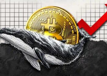 Bitcoin Whales Defy Volatility, Quietly Accumulate BTC at 17% Discount