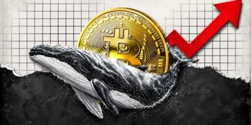 Bitcoin Whales Defy Volatility, Quietly Accumulate BTC at 17% Discount